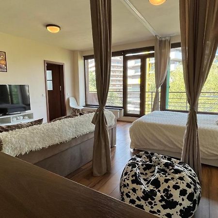 Plopilor Sdtudio Apartman Kolozsvár Kültér fotó