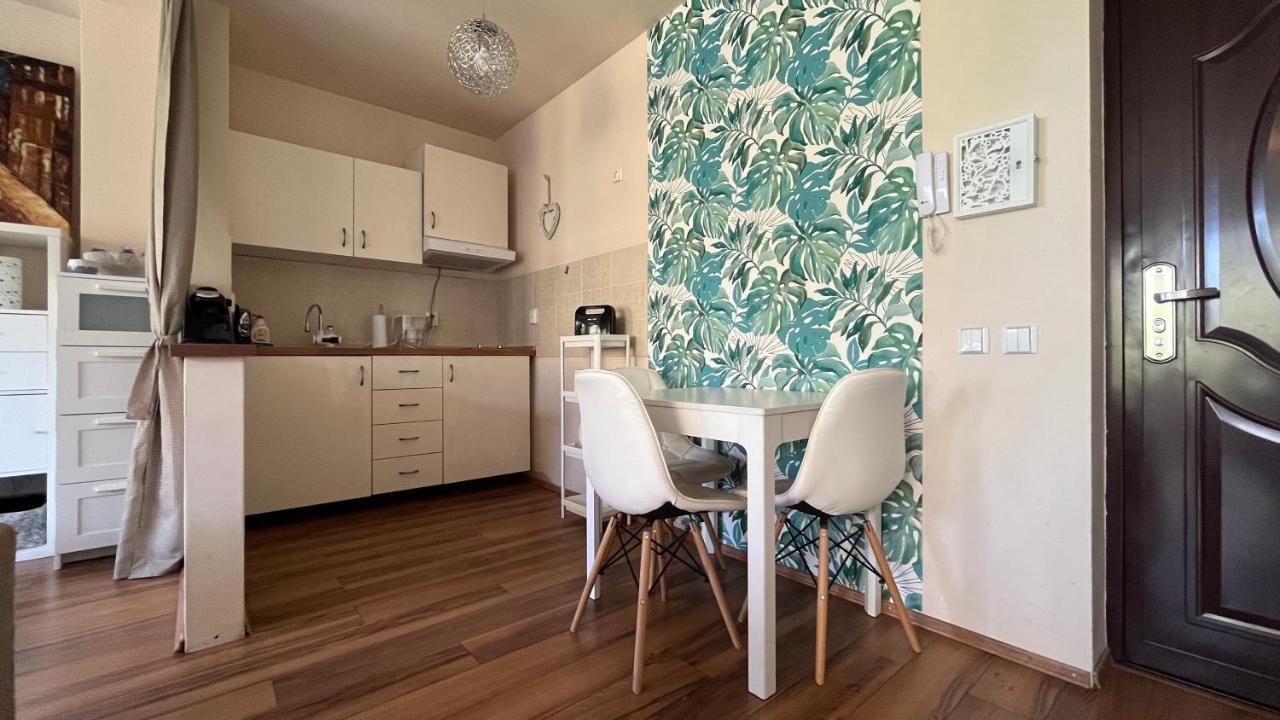 Plopilor Sdtudio Apartman Kolozsvár Kültér fotó